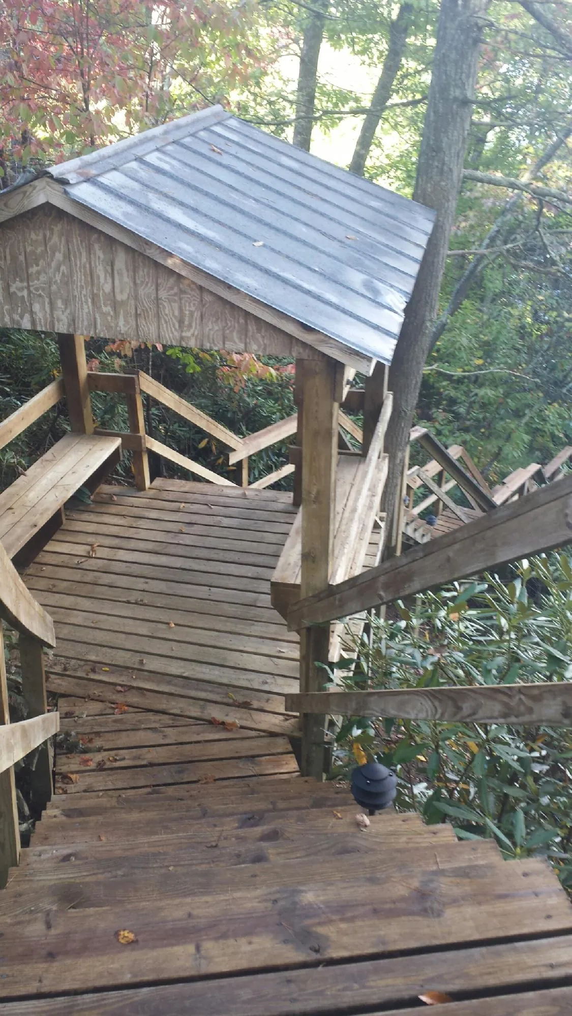 Metal roofed shelter over wooden steps on a wooded walkway — Skylight Repair & Installation work by our crew in Driggs