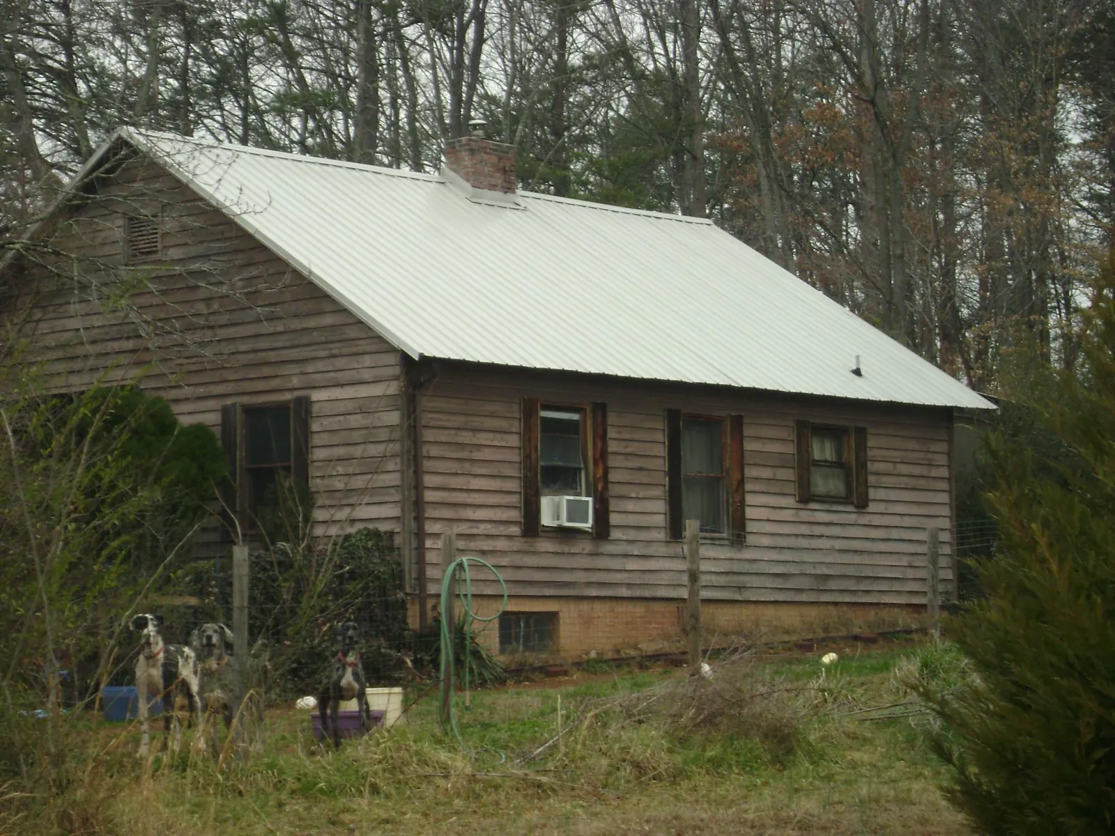 White metal roof on an old wood sided farmhouse, from a Metal Roof Installation job in Driggs